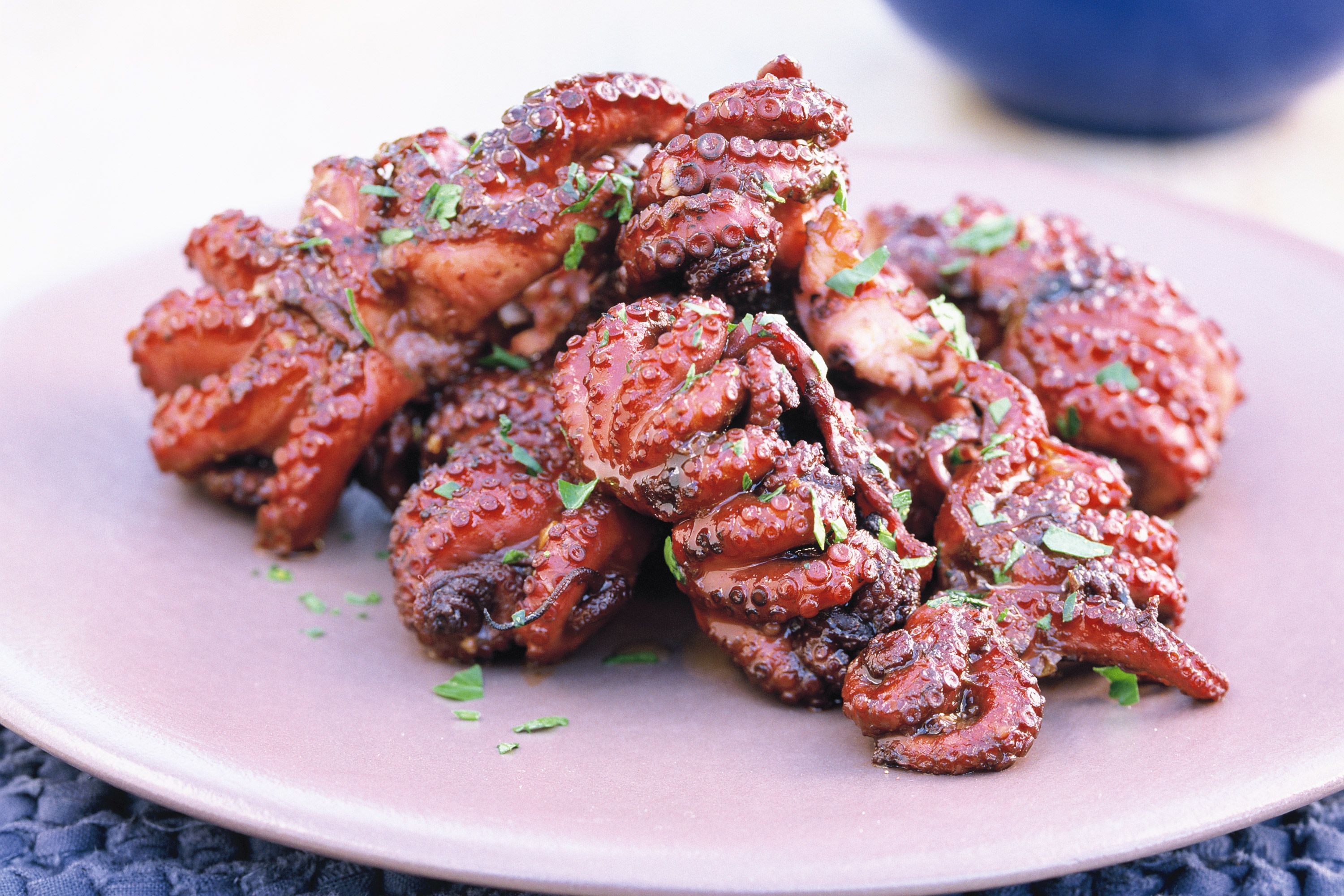 Octopus dishes in 7 restaurants in Bucharest Shopping in Romania